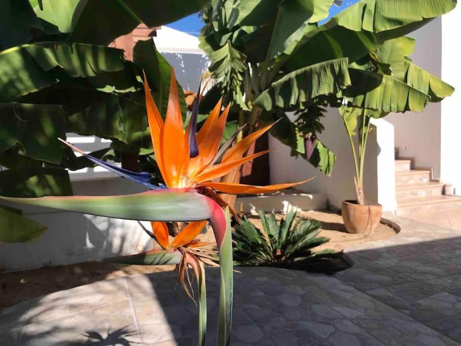 Gezellige Villa Met Prachtig Zicht En Zwembad Arona  Exterior photo